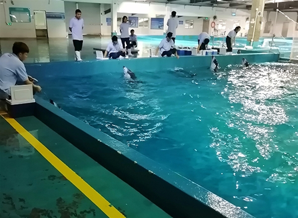 水族馆工程安装4