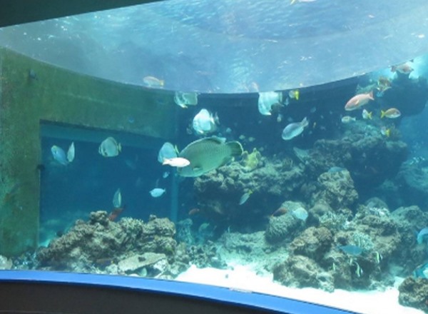 水族馆亚克力工程